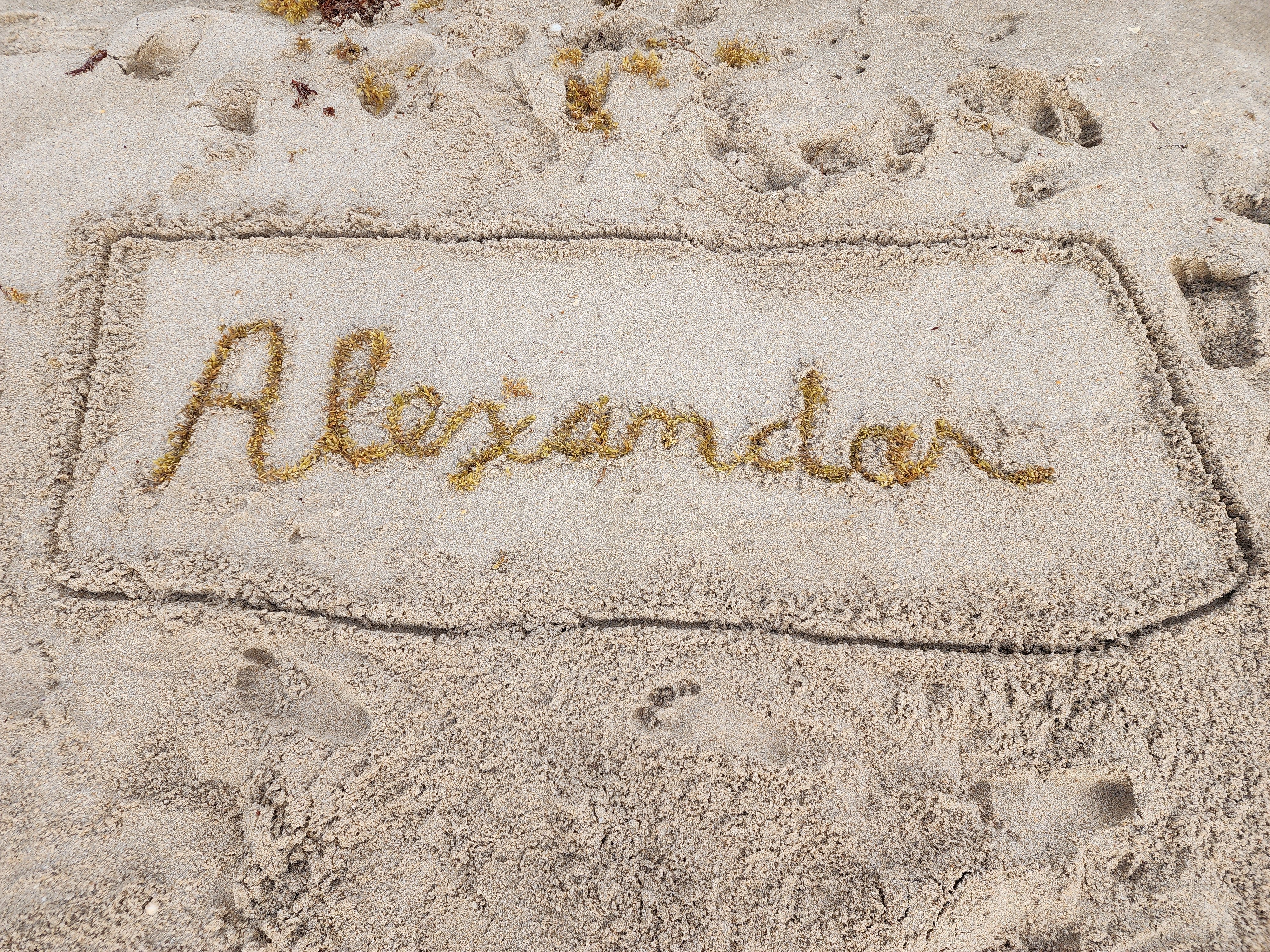 alexander